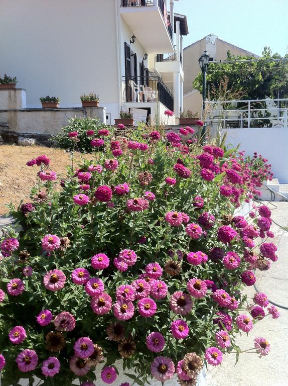 Dimitrakis Apartments Kassiopi Zewnętrze zdjęcie